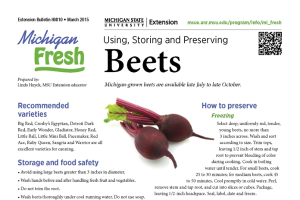 Michigan Fresh: Using, Storing, and Preserving Beets (HNI10)