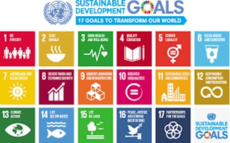 Logos for each of the 17 UN Sustainable Development Goals