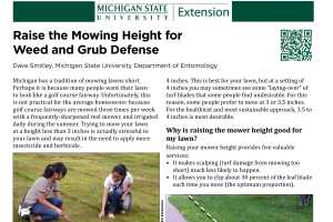 Raise the Mowing Height for Weed and Grub Defense Gardening in Michigan