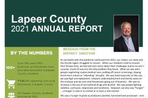 Lapeer County Annual Report: 2021