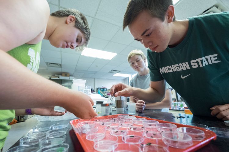 Students working in lab