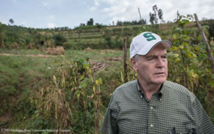 MSU AgBioResearch scientist Jim Kelly looks over a climbing bean test plot on a Rwandan farm. Photo courtesy of MSU.