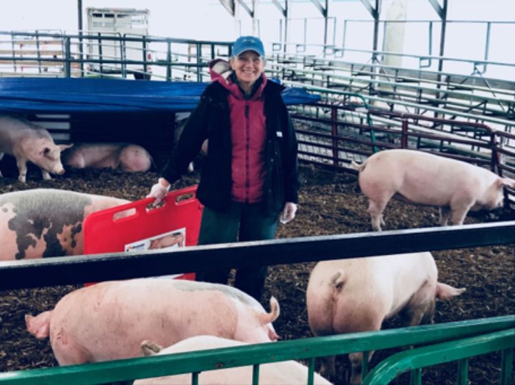 A woman standing in a pen filled with pigs