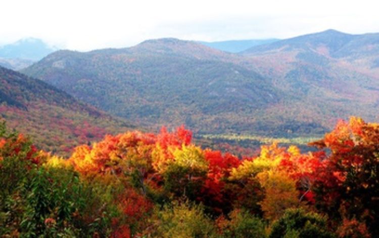 NSF CNH scientists will look at the ecosystem resilience of northern forests in New England.