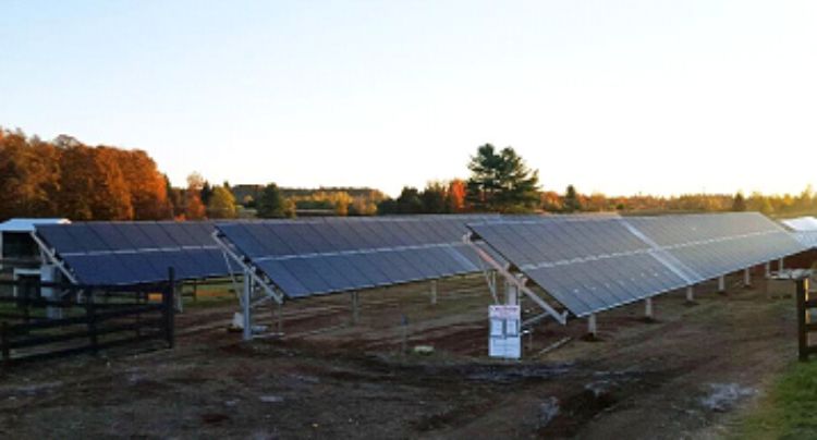 Figure 1. Solar arrays positioned by the petting zoo and livestock area. Photo courtesy of Al Go.