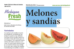 Michigan Fresh (Spanish): Melones  y sandías