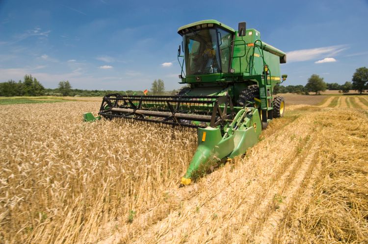 Wheat harvest at W.K. Kellogg Biological Station, Michigan State University