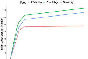 Getting the most out of your forage evaluation: Understanding NDF digestibility
