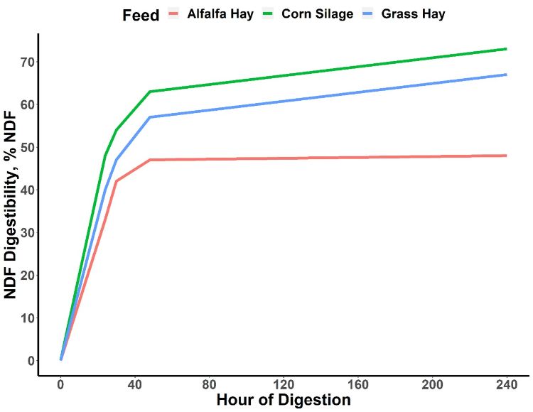 Line graph showing digestion over time in alfalfa, hay, corn silage, and grass hay.