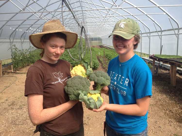 A majority of the population is far-removed from the rich agricultural history of the Upper Peninsula.  A new approach placing students on-farm seeks to change that | Photo Credit: A. McFarland, MSU Extension