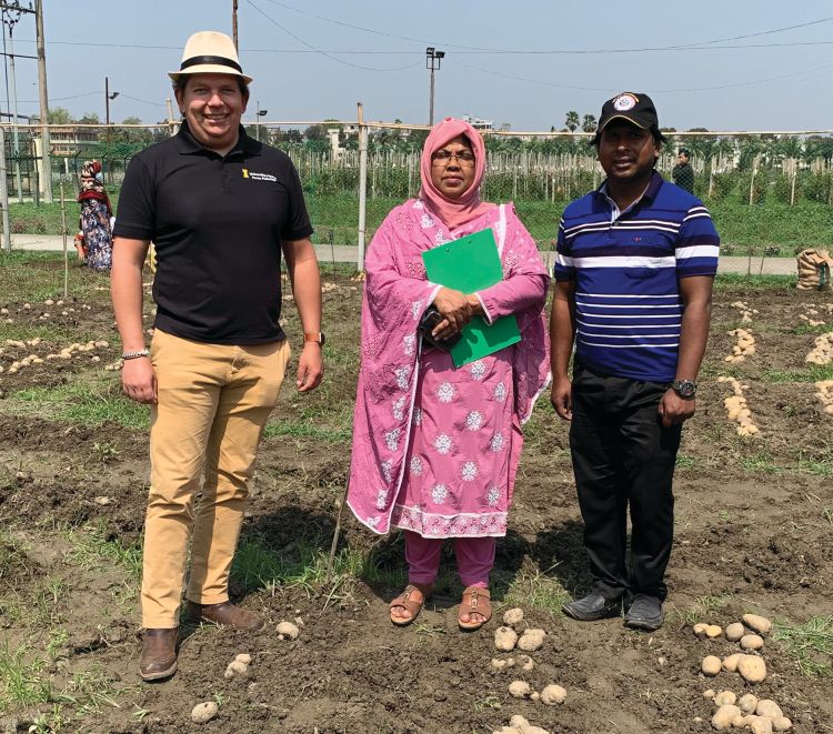 Phill is standing in a potato field in Bangladesh with two scientists from Bangladesh.