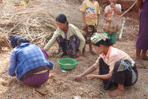 Feed the Future initiatives reinvest in agriculture