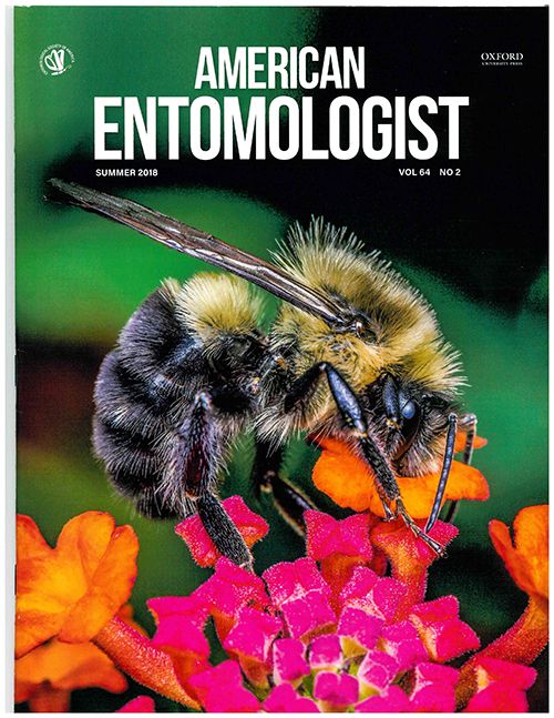 American Entomologist cover.