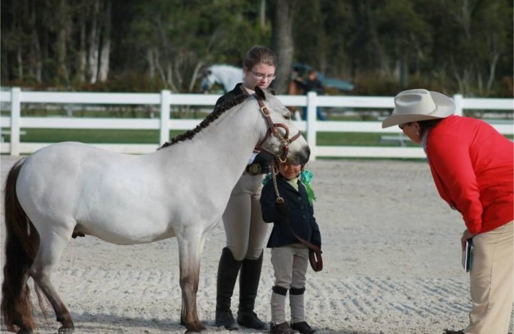 Michigan 4-H horse show judge, Elaine Page. Photo credit: Elaine Page