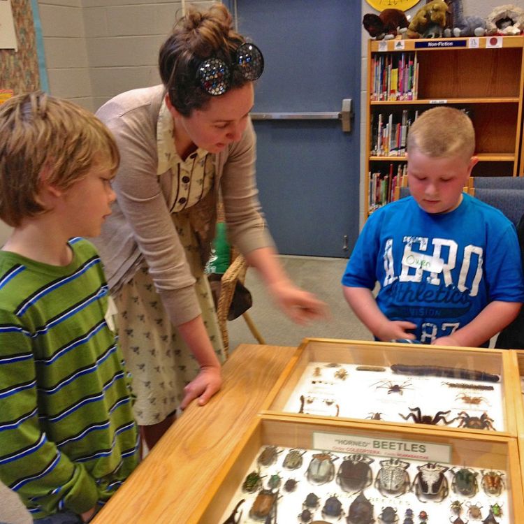Emily May showing pinned insects to youth