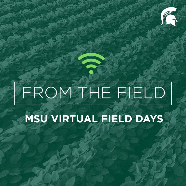 MSU Virtual Field Days