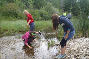 Researching crayfish at Great Lakes and Natural Resources Camp