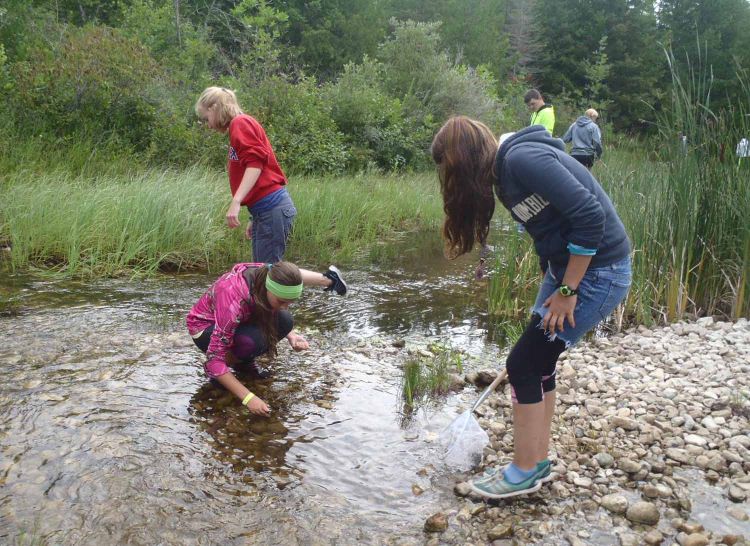 Campers catching crayfish.