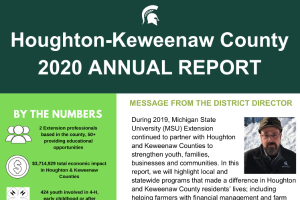 Houghton-Keweenaw County Annual Report 2020