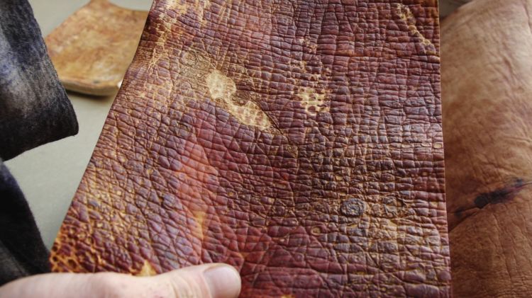 Myco materials may be the future of fabric manufacturing Bonito Lab