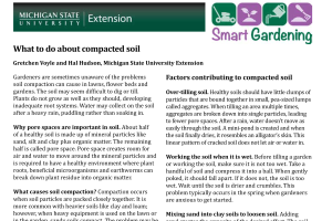 What to do about compacted soil