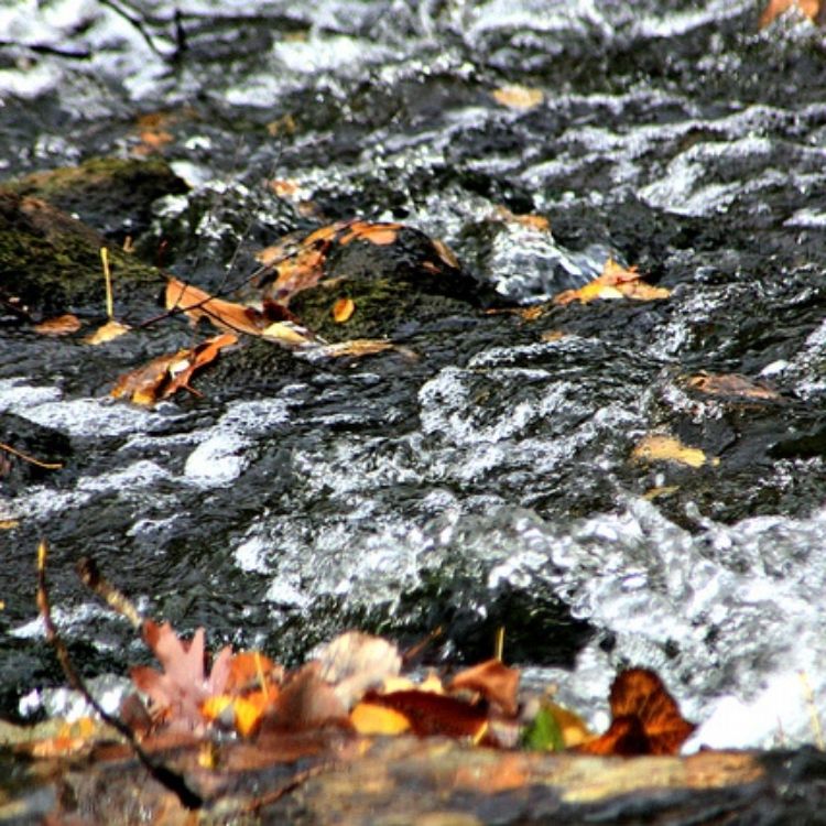 Red Cedar River in fall 2012