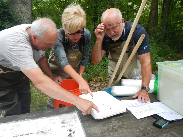 Lake and Stream Leaders Institute participants learn how to identify aquatic macroinvertebrates, which are critical indicators of stream health. Paige Filice | Michigan State University