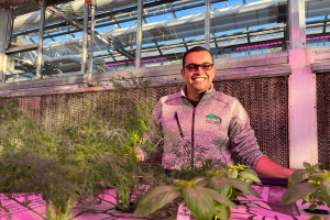 MSU-led team studying expansion of controlled environment culinary herb production across US