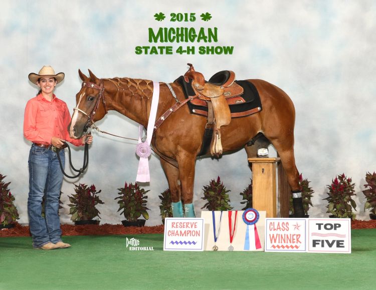 The 2015 State 4H Horse Show was a success MSU Extension