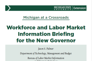 Workforce and Labor Market Information Briefing for the New Governor
