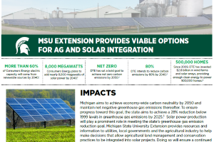 MSU Extension Provides Viable Options for Ag and Solar Integration