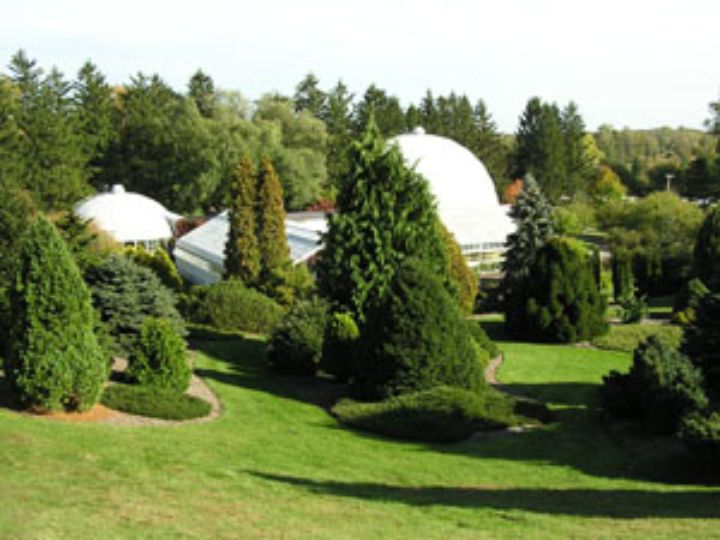 Msu S Hidden Lake Gardens Contain World Renowned Plant Collections