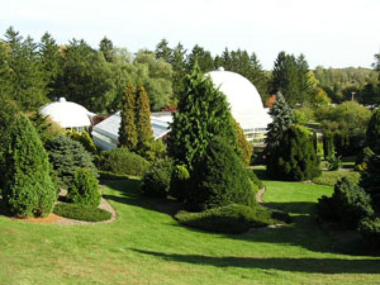 Michigan State University’s (MSU) Hidden Lake Gardens