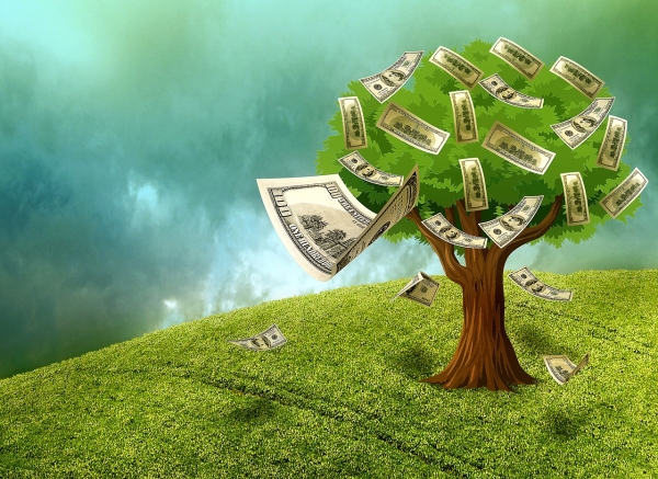 Make your money grow