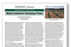 Weed Control in Christmas Trees - E3237