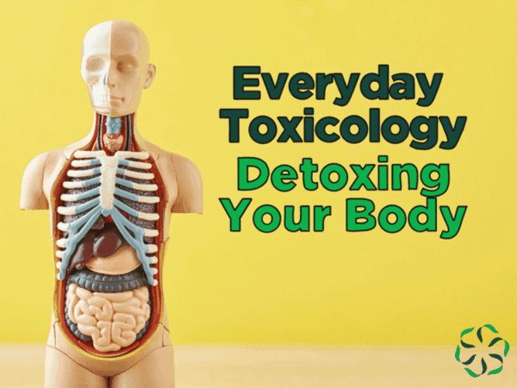 body detox