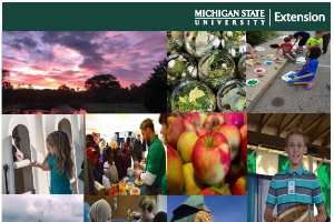 Ingham County Annual Report: 2017-18
