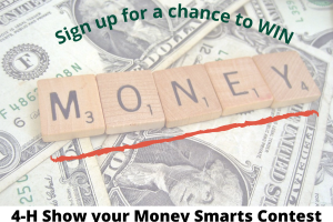Show Your Money Smarts Contest 2022