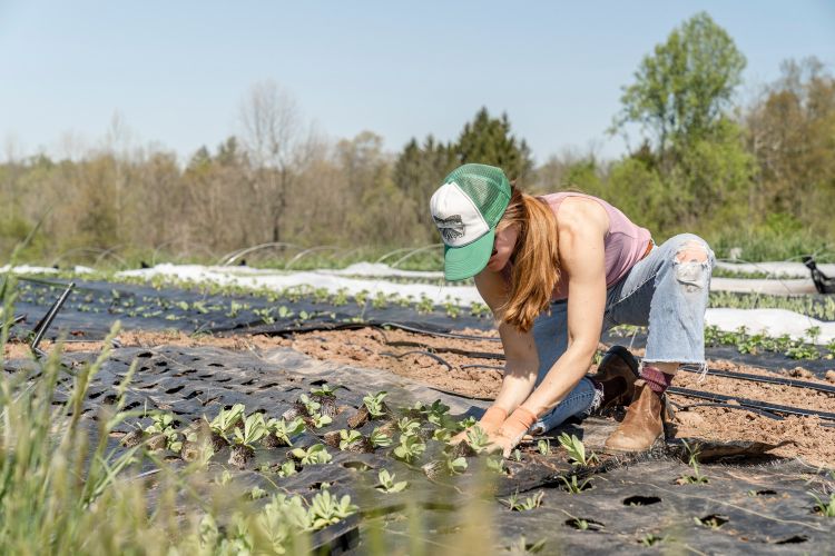 Women sitting next to crops