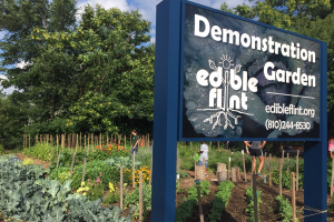 Edible Flint works to ensure healthy and successful urban food gardens