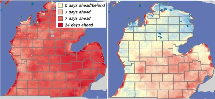 Growing degree day (GDD) base 50 comparison with normal.