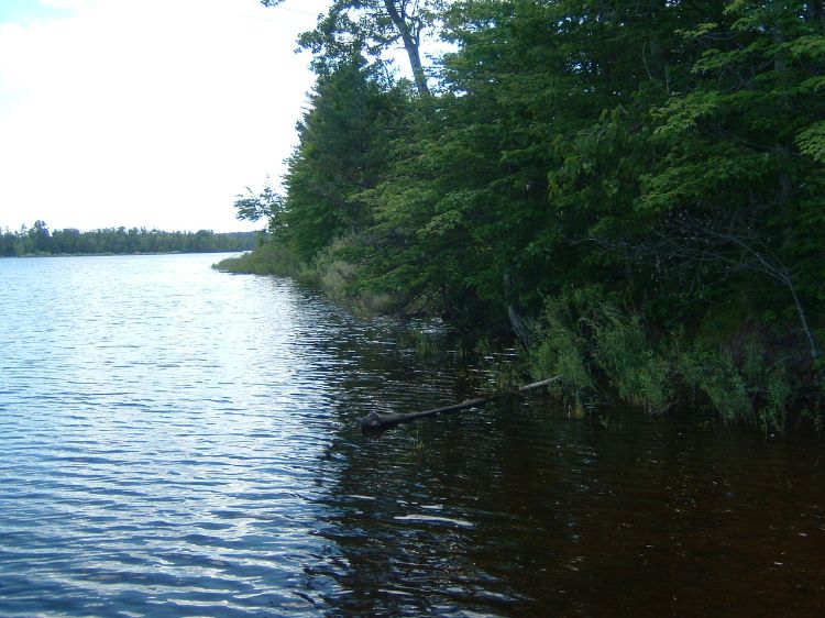 A quiet day on the Rainbow Flowage, an impoundment of the Wisconsin Valley Improvement Company in northern Wisconsin. Photo credit: Jane Herbert l MSU Extension