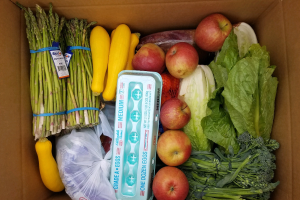 $500,000 grant will help Michigan communities address food insecurity and limited access to healthy food