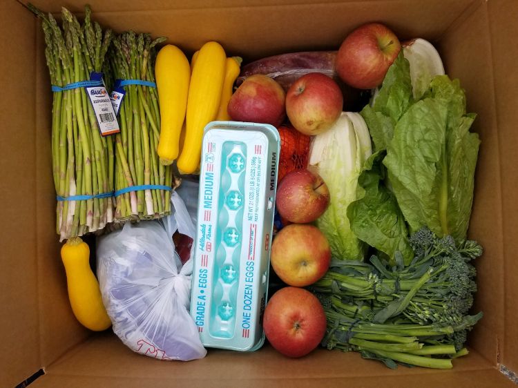 Cardboard box filled with fresh food, including asparagus, yellow summer squash, apples, lettuce, green onions, broccoli, and a carton of one dozen eggs.