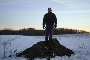 An 8 step process for developing a horse manure management plan: Part 2 - Manure storage