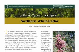 Forest Types of Michigan: Northern White-Cedar (E3202-7)