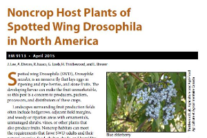 Noncrop Host Plants of Spotted Wing Drosophila in North America