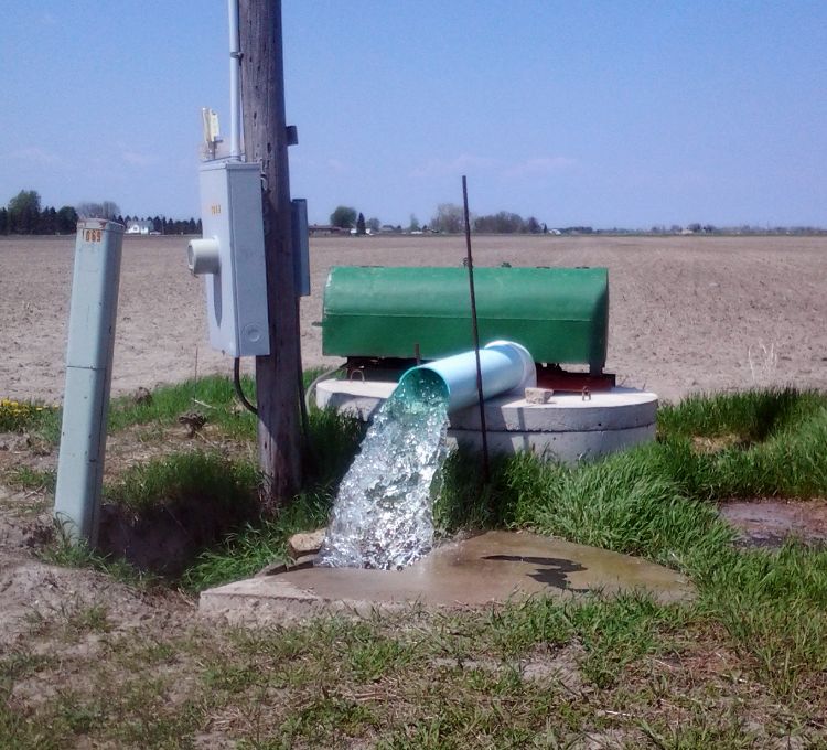 A representative snapshot of Bay-area tile drainage dealing with the above average rainfall of the region this spring.