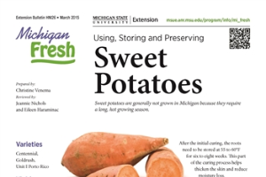 Michigan Fresh: Using, Storing, and Preserving Sweet Potatoes (HNI26)