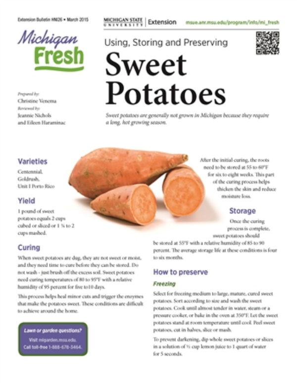 Michigan Fresh Using Storing And Preserving Sweet Potatoes
